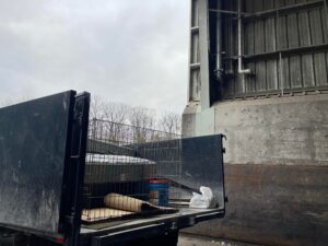 One Ten Junk Collection Takes Safety Precautions